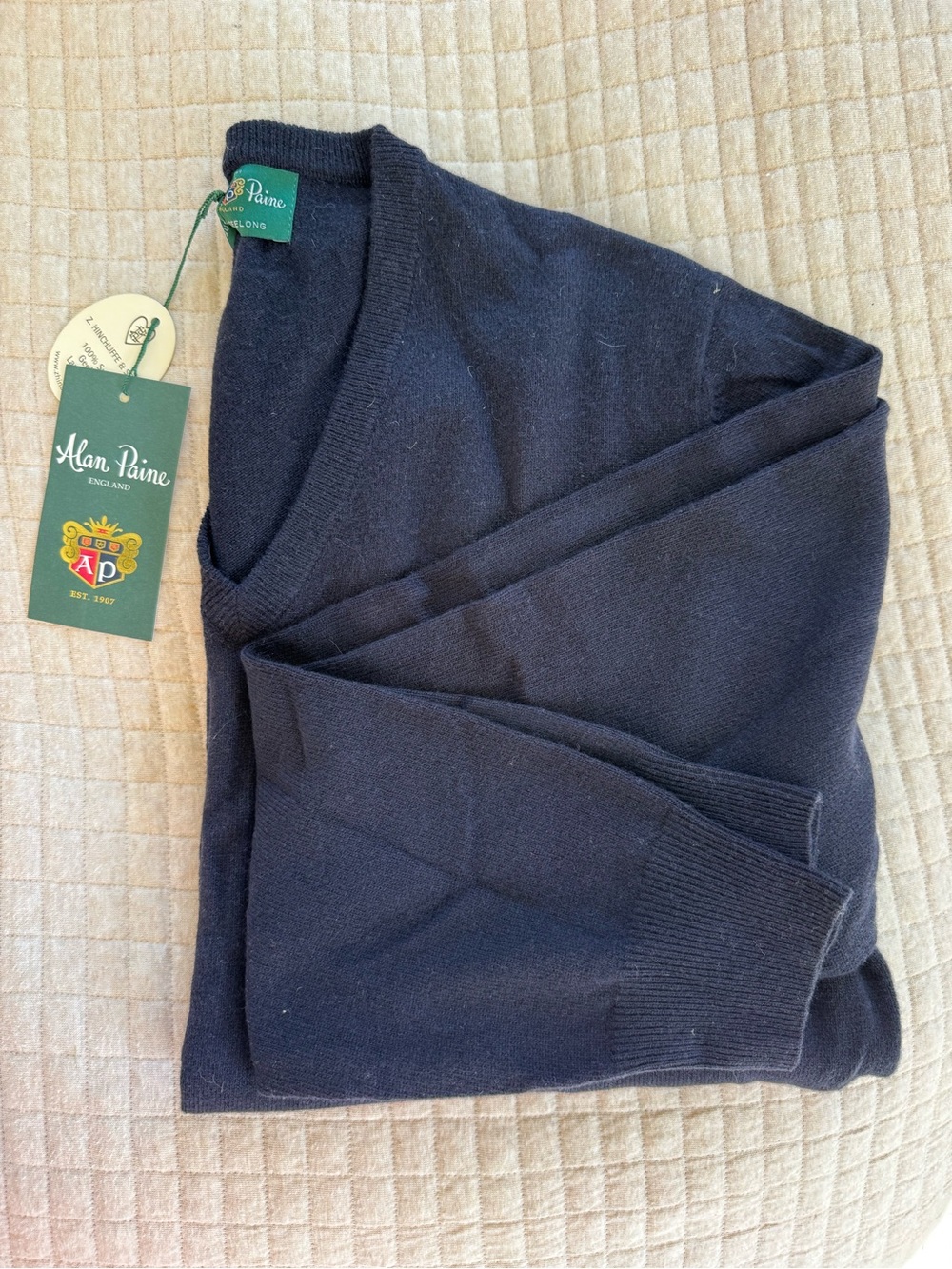 Alan Paine Men's V-Neck Sweater in Navy